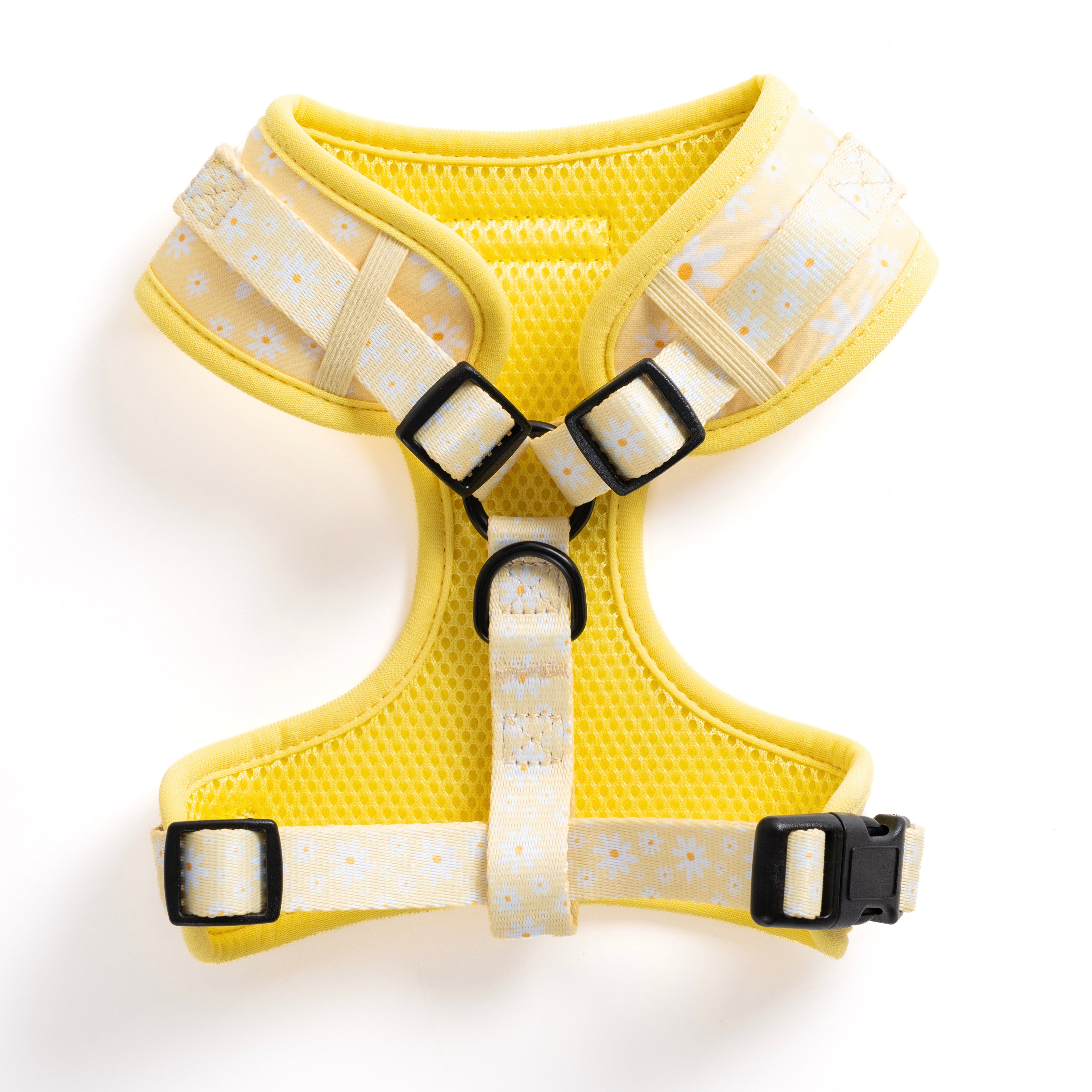 Daisy Daydream Dog Harness
