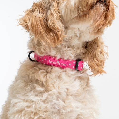 Bubblegum Sundae Dog Collar