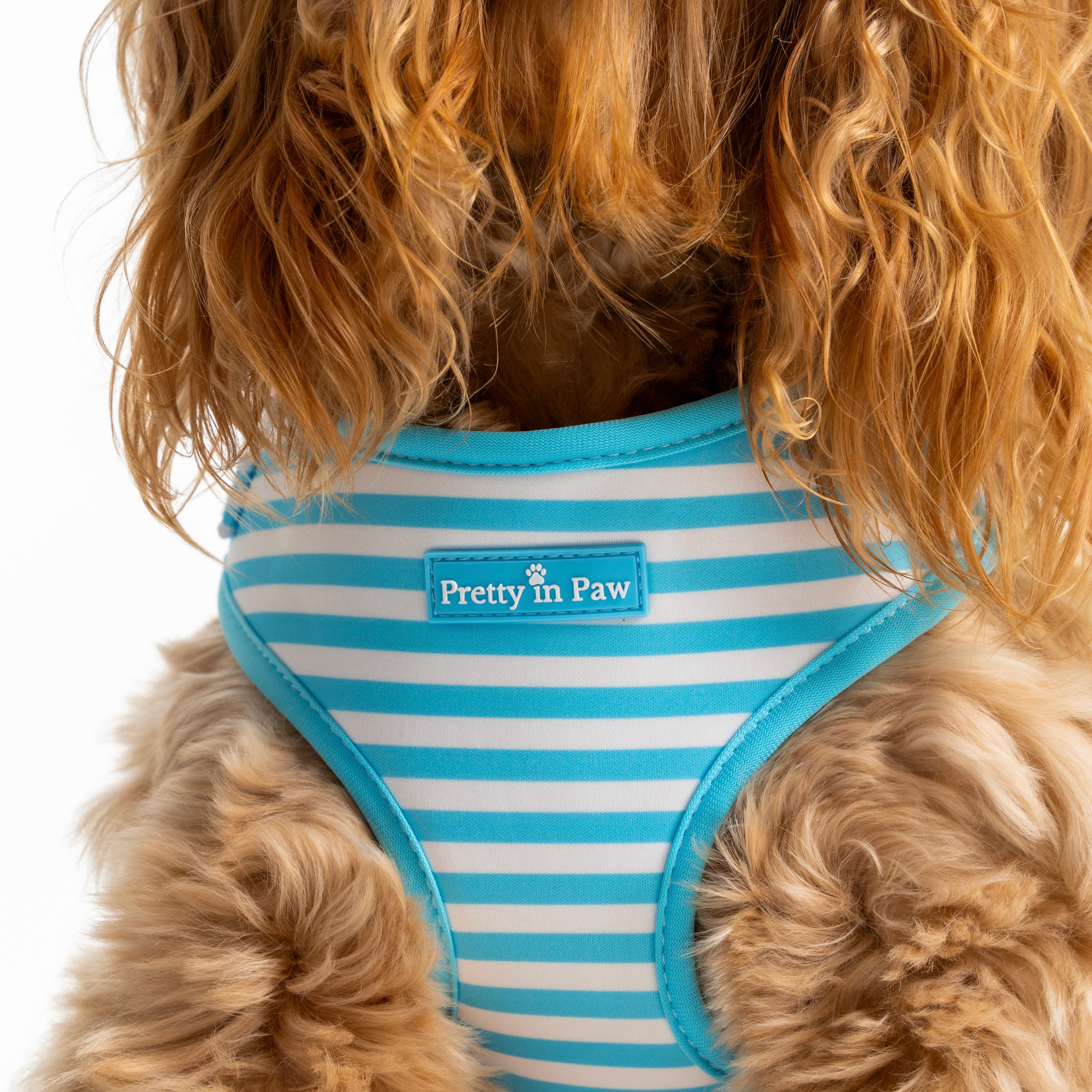 Seaside Striped Dog Harness