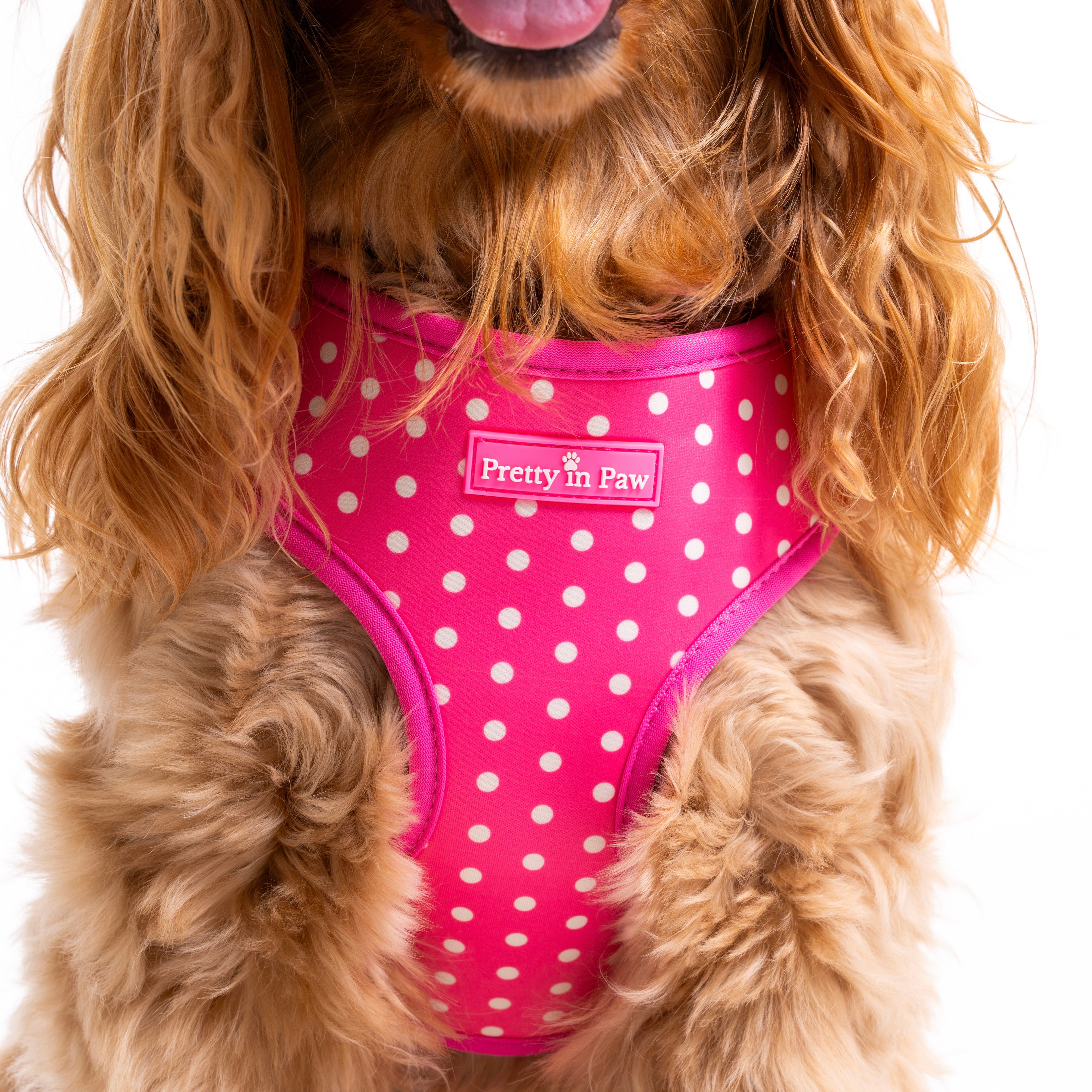Bubblegum Sundae Dog Harness