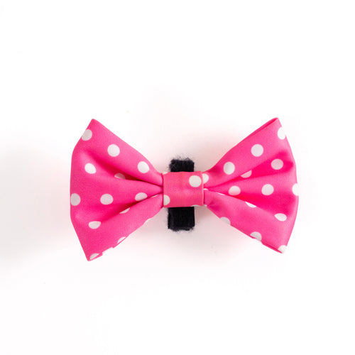 Bubblegum Sundae Dog Bow